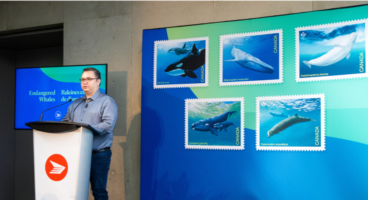 Morgan Guerin, Senior Marine Planning Specialist and Marine Enforcement Coordinator for the Musqueam First Nation, stands on stage behind a podium for the launch of the Endangered Whales stamps at Vancouver's Beaty Biodiversity Museum in May 2022. Enlargements of the stamps appear behind him.