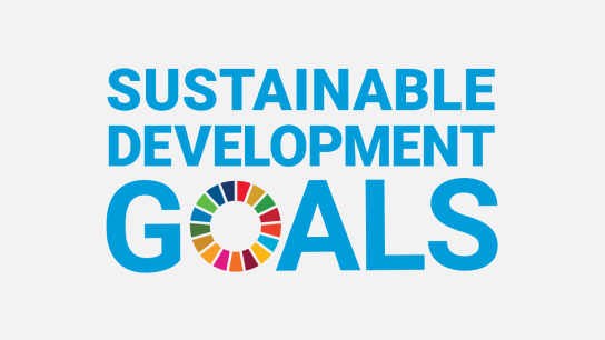 UN Sustainable Development Goals logo.  