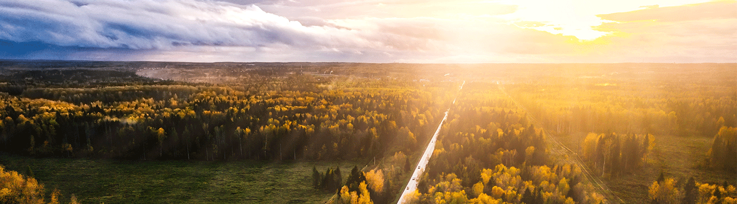 Vue aérienne du coucher du soleil sur une forêt automnale