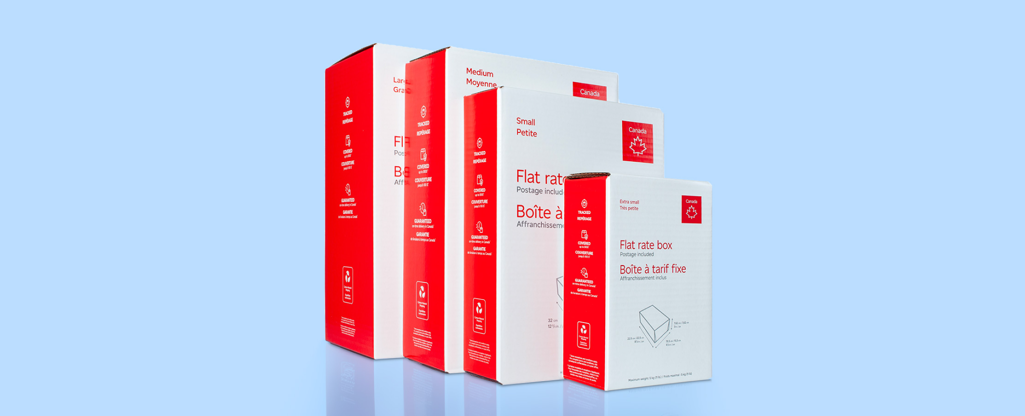 Les quatre tailles de boîte à tarif fixe de Postes Canada.
